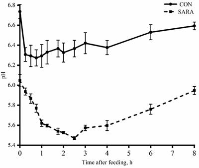 Lactate uptake in the rumen and its contributions to subacute rumen acidosis of goats induced by high-grain diets